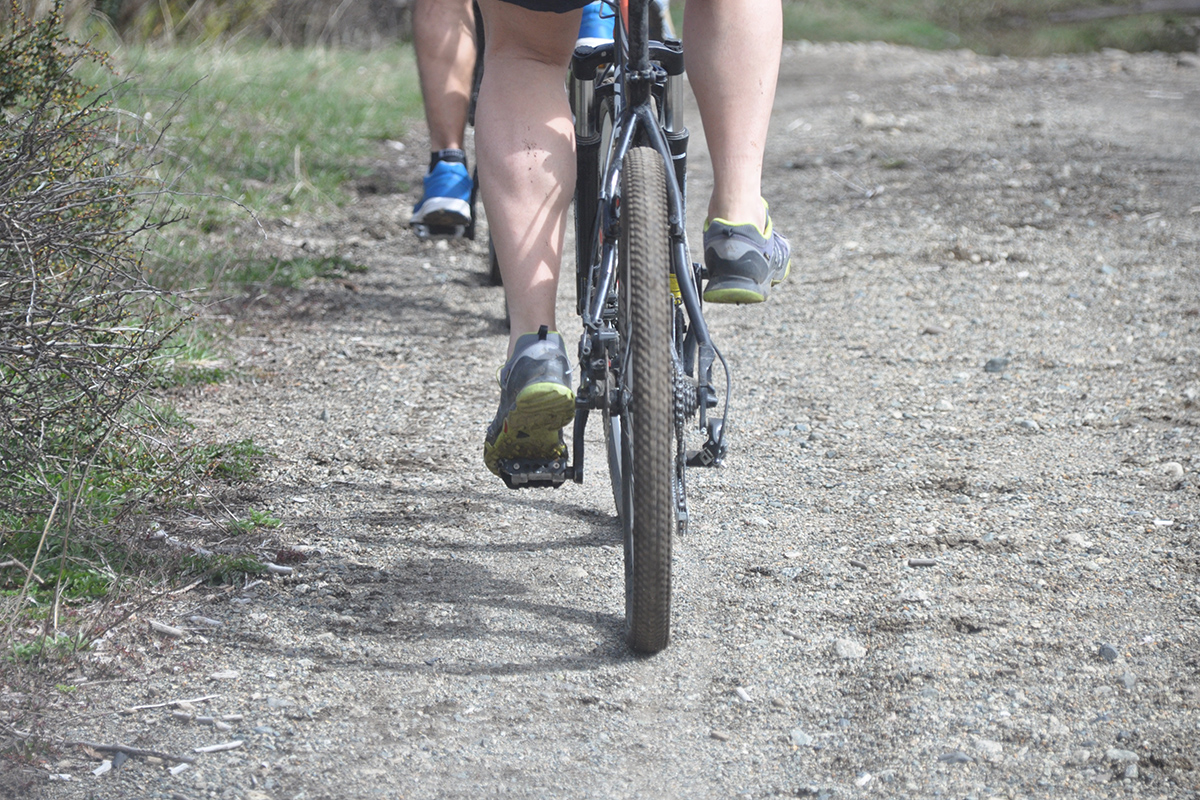 DSC